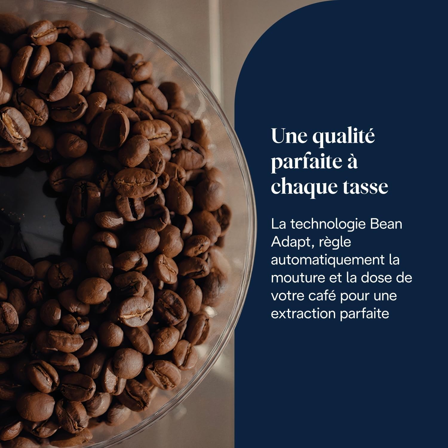 La Specialista Touch Machine à expresso avec moulin à café, fonction Cold Brew, métal